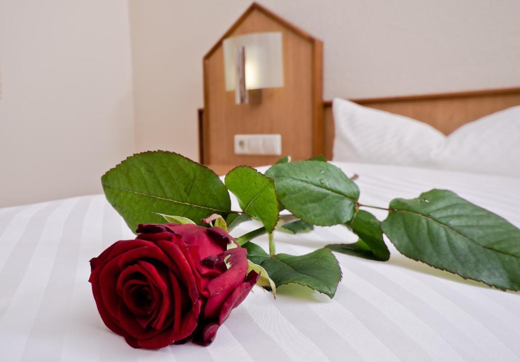 Serviced Apartments Kurpfalzhof Oftersheim Bilik gambar
