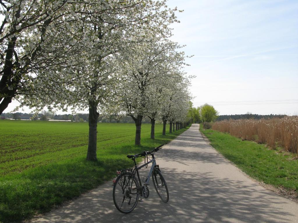 Serviced Apartments Kurpfalzhof Oftersheim Luaran gambar