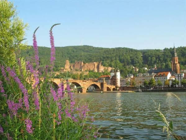 Serviced Apartments Kurpfalzhof Oftersheim Luaran gambar