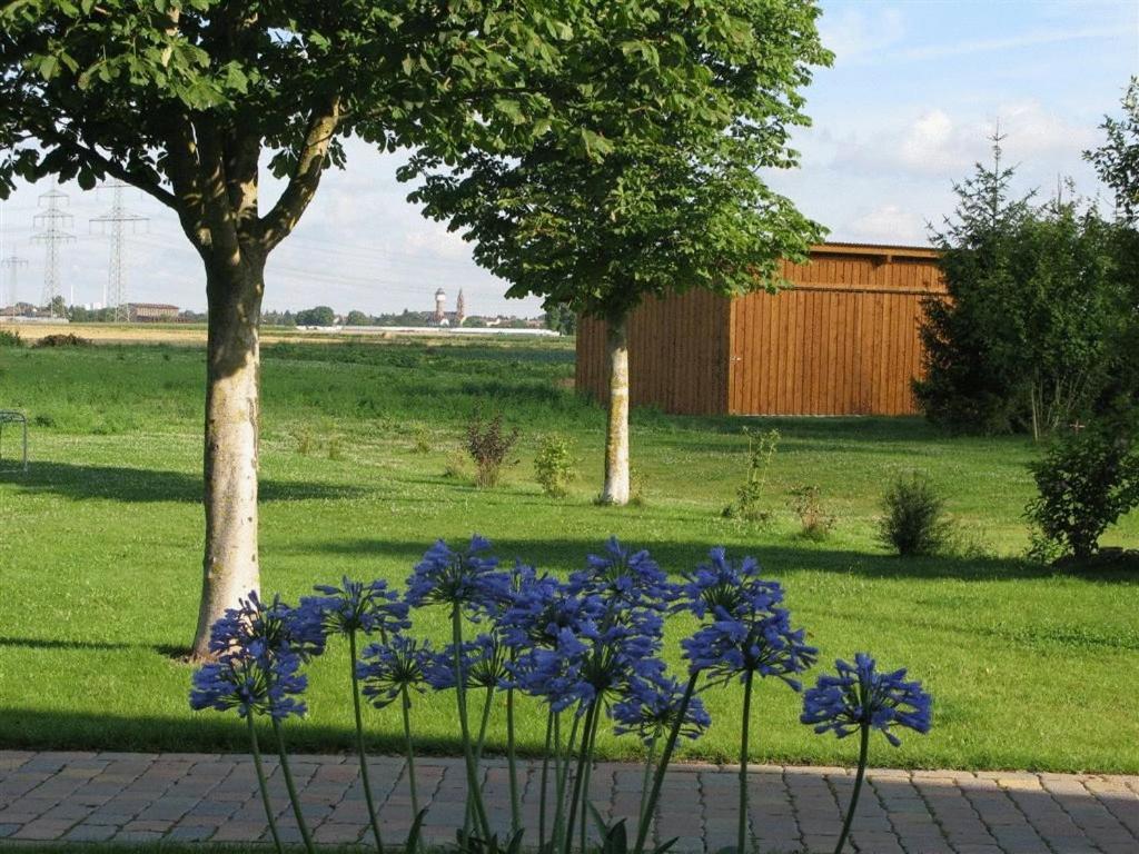 Serviced Apartments Kurpfalzhof Oftersheim Luaran gambar