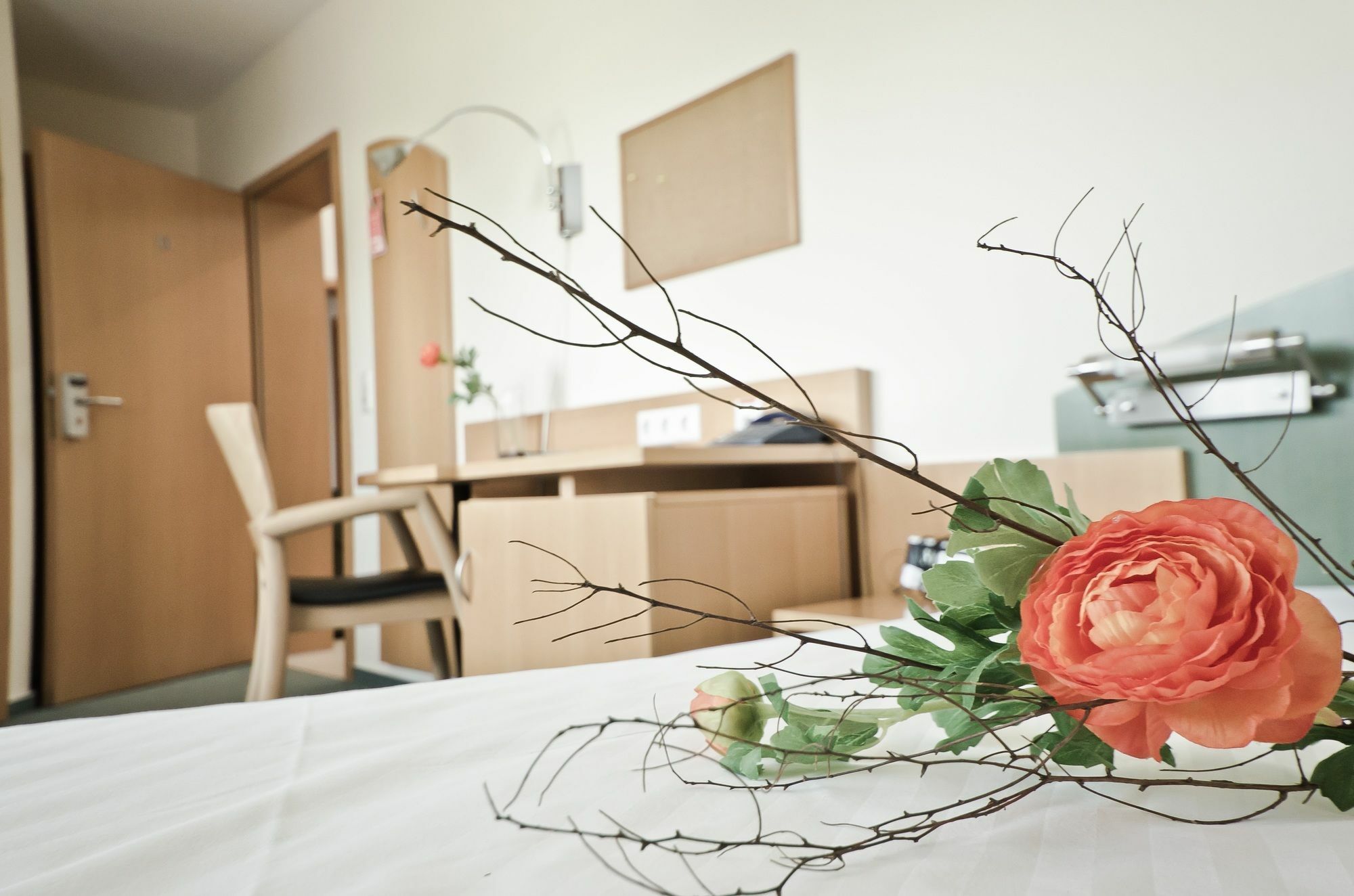 Serviced Apartments Kurpfalzhof Oftersheim Luaran gambar