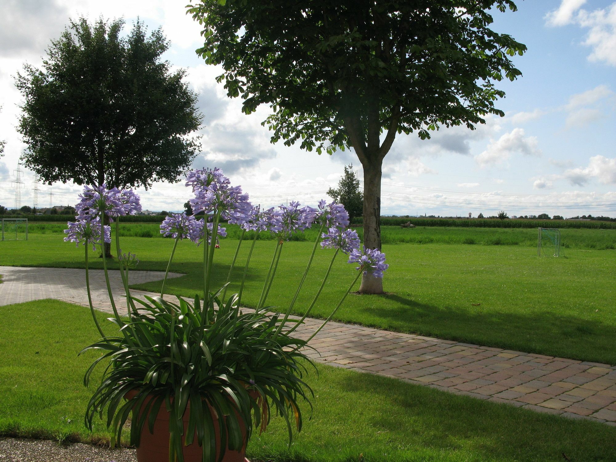 Serviced Apartments Kurpfalzhof Oftersheim Luaran gambar
